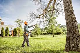 Best Grass Overseeding  in Arlington, WA