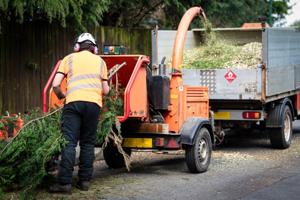 Best Pest Control for Lawns  in Arlington, WA